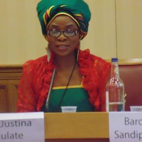 AFRICA RISING: THE ROLE OF THE DIASPORA AFRICAN&nbsp;WOMAN